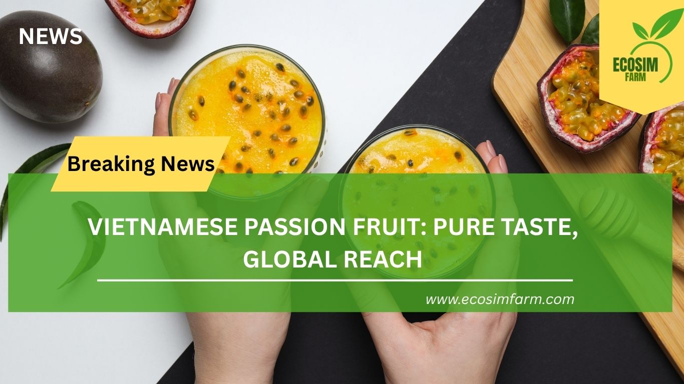 Vietnamese Passion Fruit: Tropical Excellence for Export